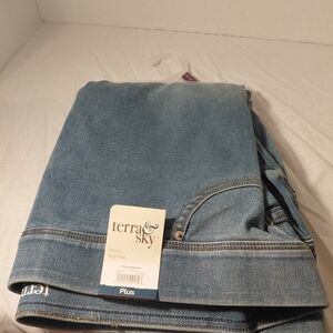 Terra & Sky Classic Denim Skinny Jeans